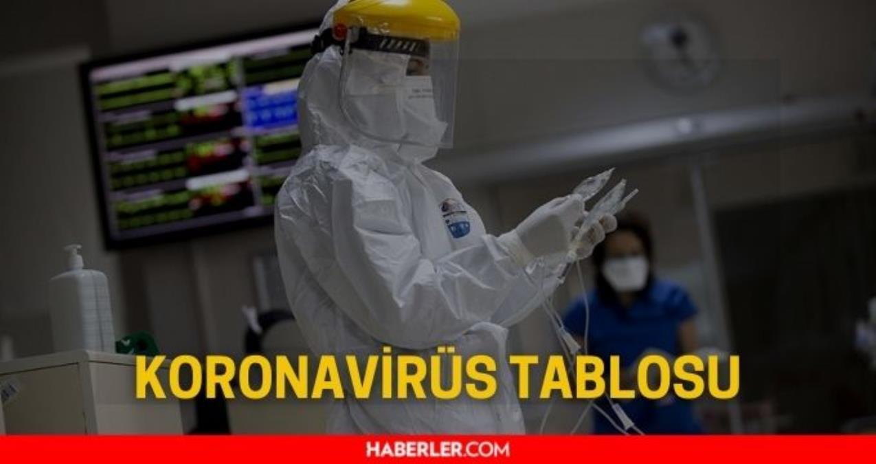 14 Ocak Koronavirüs tablosu açıklandı mı? 14 Ocak Cuma Türkiye’de bugün Koronavirüsten kaç kişi öldü, kaç kişi iyileşti, gerçek vaka sayısı kaç?