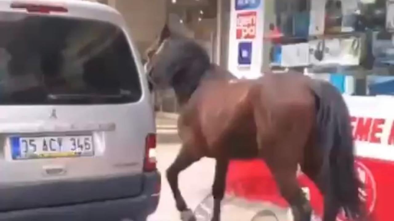 Aracına iple bağladığı atı peşinden koşturdu