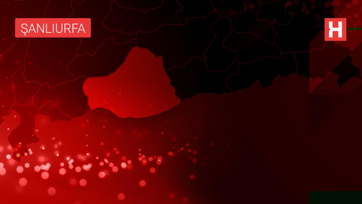 Barış Pınarı Harekatı bölgesinde şark çıbanı hastalığına yönelik rapor hazırlandı