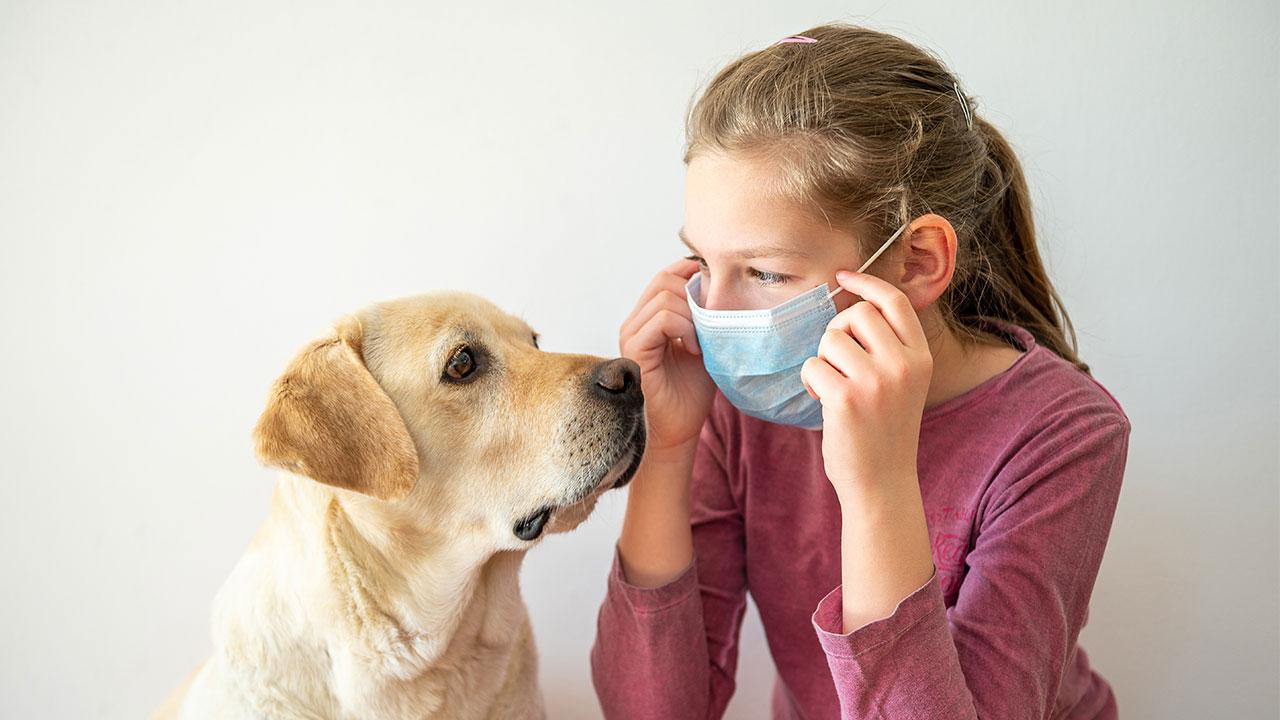 ABD’de köpekler koronavirüs tespiti için eğitildi