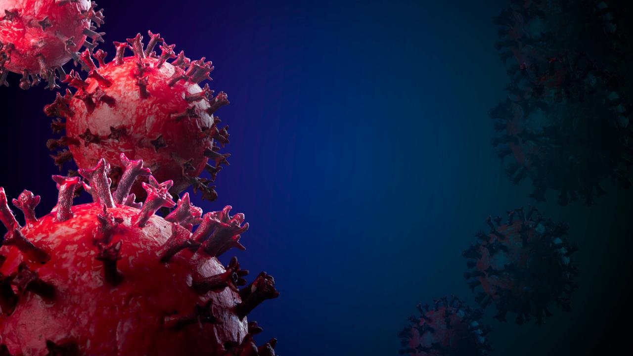 DSÖ: Geçen hafta en yüksek küresel koronavirüs vaka sayısı bildirildi
