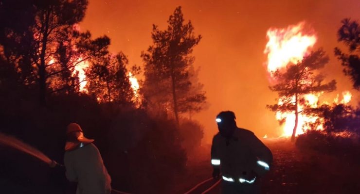 Marmaris’teki orman yangınına müdahale sürüyor