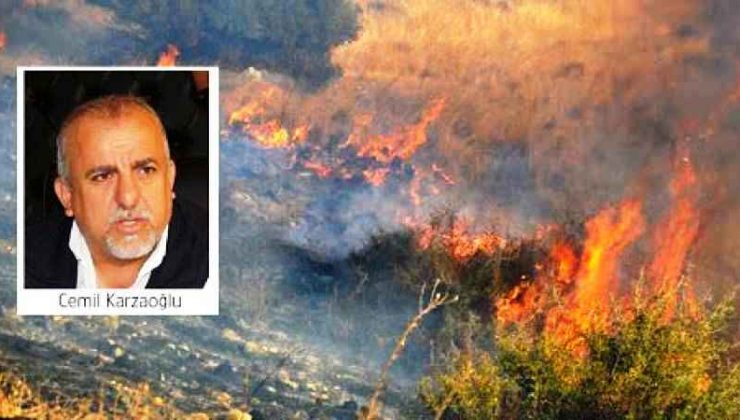Karzaoğlu:Yangın büyük oranda söndü, sadece Ardahan’daki bir noktada dumanlar yükseldi