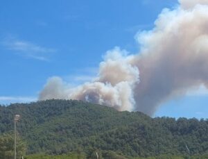 Marmaris’teki orman yangını rüzgarın etkisiyle yayılıyor