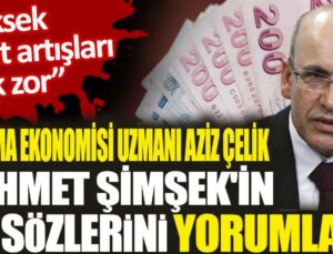 Çalışma ekonomisi uzmanı Aziz Çelik, Mehmet Şimşek’in ilk sözlerini yorumladı