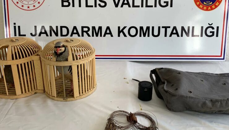 Bitlis’te keklik yakalayan 2 kişiye 26 bin 635 lira ceza uygulandı