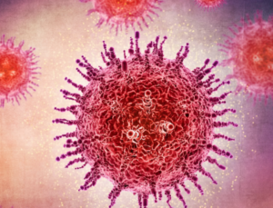 Tabipler Birliği HPV aşısının rutin aşı programına alınması çağrısında bulundu