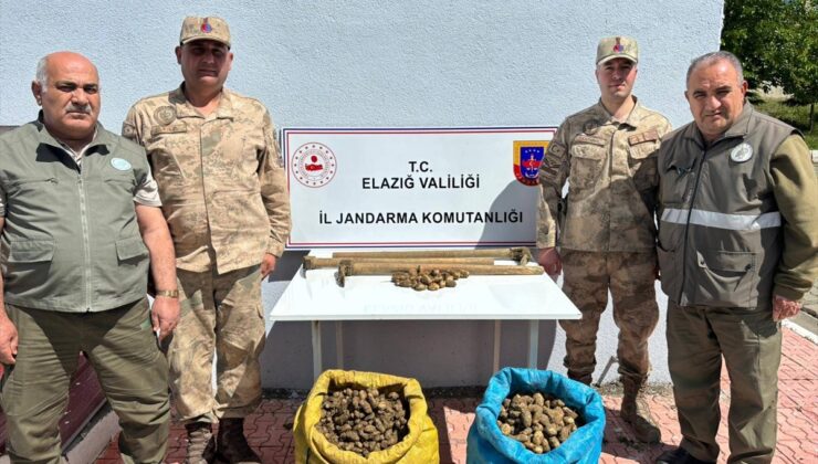 Elazığ’da 98,5 kilogram salep soğanını kaçak toplayan 4 kişi yakalandı
