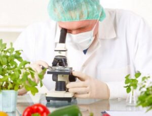 Haftalık gıda denetimleri… Elma ve çeri domateste limit üstü bitki koruma ürünü…