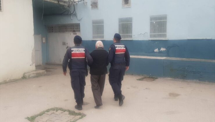 Kastamonu'da arazisinde 371 kök kenevir bulunan zanlı tutuklandı