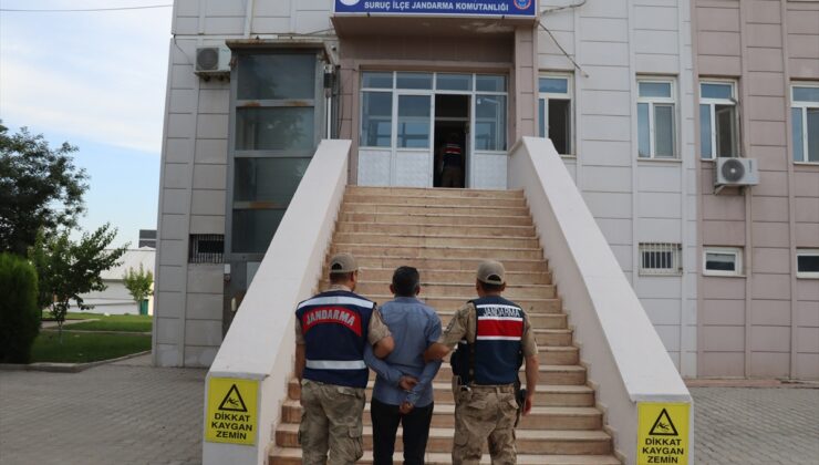 Şanlıurfa’da terör örgütü PKK’ya yönelik operasyonda 11 şüpheli yakalandı