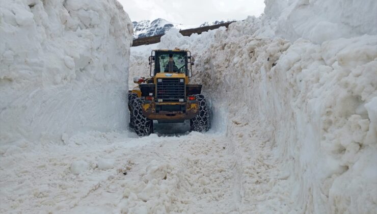 Trabzon’un yüksek rakımlı bölgelerinde karla mücadele çalışması sürüyor