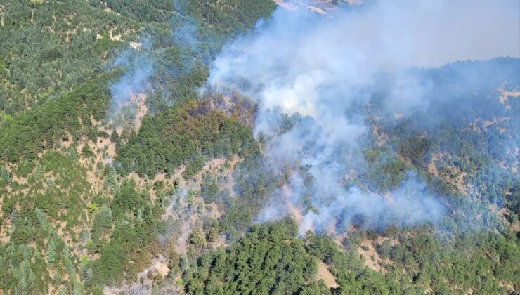 GÜNCELLEME – Adana’da çıkan orman yangınına müdahale ediliyor