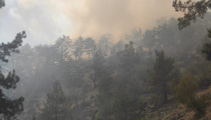 Adana'da çıkan orman yangınına müdahale ediliyor