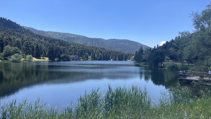 Bolu’da 1 Temmuz-30 Eylül tarihleri arasında ormanlara girişler yasaklandı