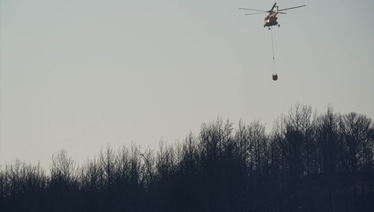 İzmir’deki orman yangınlarına havadan müdahale sabah saatlerinde yeniden başlatıldı