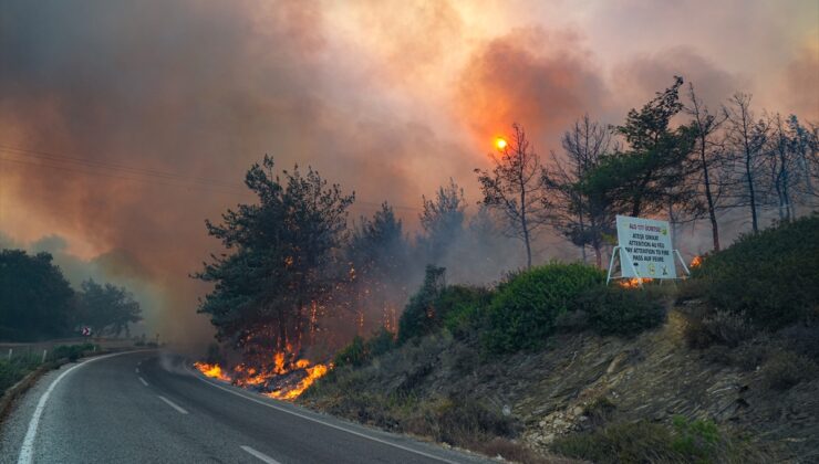 GÜNCELLEME – İzmir’in Selçuk ilçesinde orman yangını çıktı