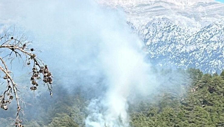 Manavgat'ta çıkan orman yangını kontrol altına alınmaya çalışılıyor