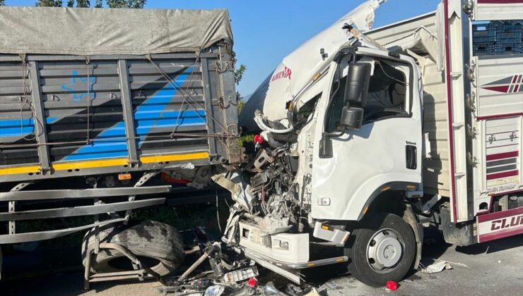 Muğla’da kamyonetin tıra arkadan çarpması sonucu 2 kişi öldü