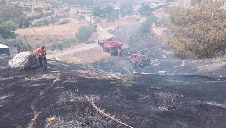 Tarım ve Doğal Kaynaklar Bakanlığı, halkı yangınlara karşı tedbirli olmaya çağırdı