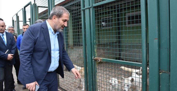 AK Parti’li Şen’den Geçici Hayvan Bakımevi ve Rehabilitasyon Merkezi’ne ziyaret: