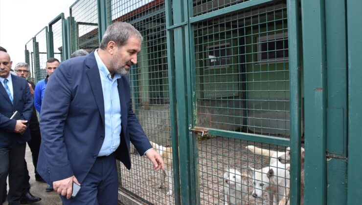 AK Parti’li Şen’den Geçici Hayvan Bakımevi ve Rehabilitasyon Merkezi’ne ziyaret: