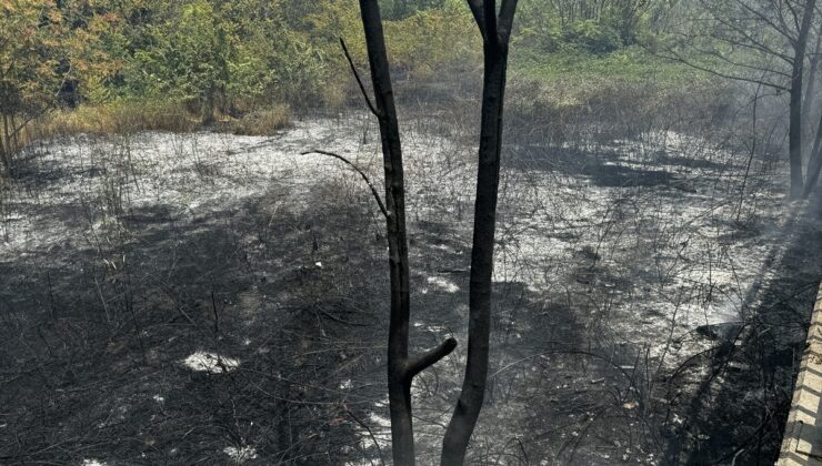 Bursa’da ağaçlık alanda çıkan yangın söndürüldü