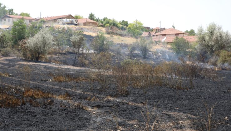 Çorum’da otların tutuşturulmasıyla başlayan yangında 31 dekar ekili alan yandı