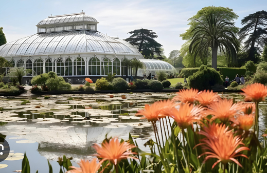 İngiltere’deki botanik bahçesi Kew Gardens’ın yarısı iklim değişikliği nedeniyle risk altında