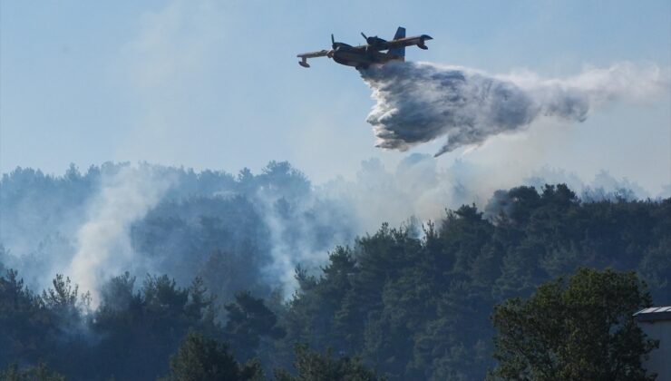 GÜNCELLEME 3 – İzmir Bornova’da çıkan orman yangınına müdahale ediliyor