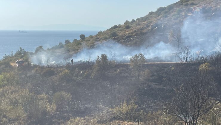 İzmir'de otomobilde çıkan yangın makilik alana sıçradı