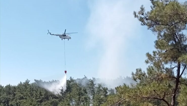 Muğla'da ormanlık alanda çıkan yangın söndürüldü