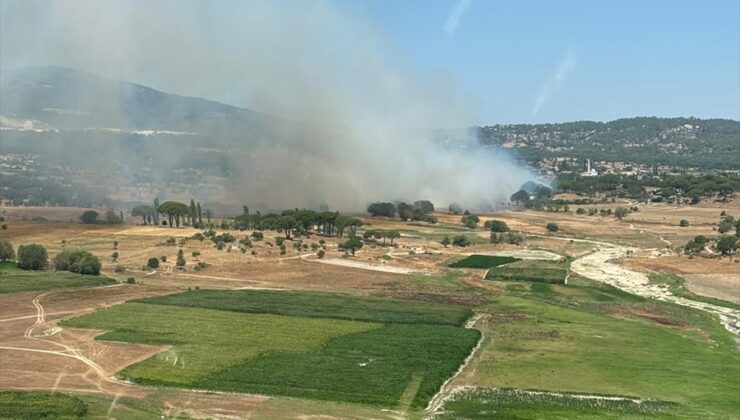 Muğla'nın Milas ilçesinde ikinci orman yangını çıktı