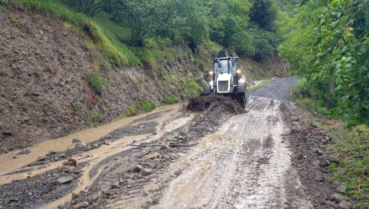 Ordu'da sel sularına kapılan kadın hayatını kaybetti