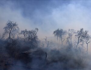 Yunanistan’da orman yangınlarına müdahaleler sürüyor