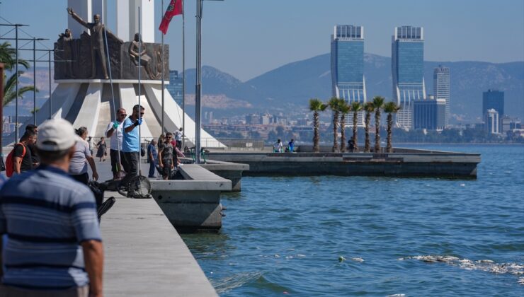 İzmir Körfezi'nde balık ölümleri sürüyor