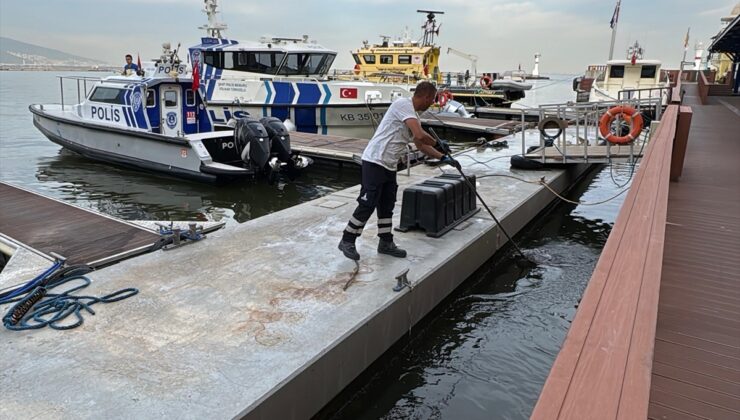 İzmir Körfezi'nde balık ölümleri sürüyor