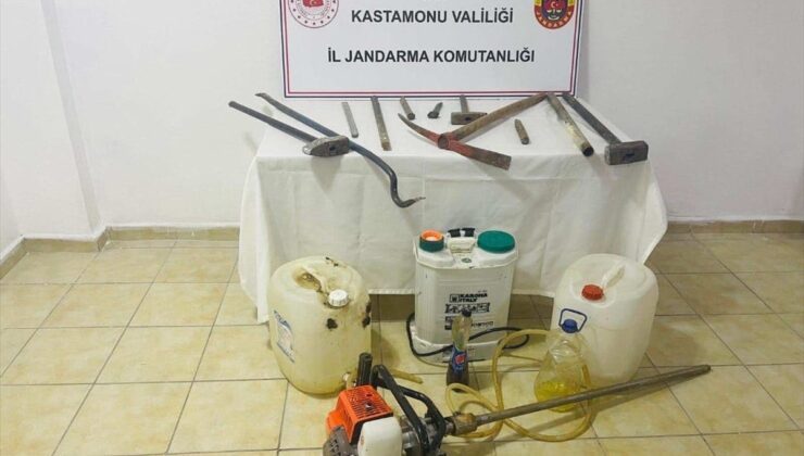 Kastamonu'da kaçak kazı yapan 2 kişi suçüstü yakalandı