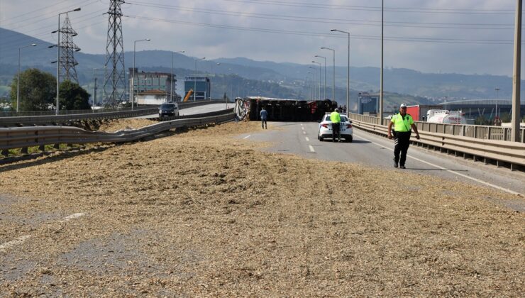 Samsun’da arı sokan tır şoförü kaza yaptı