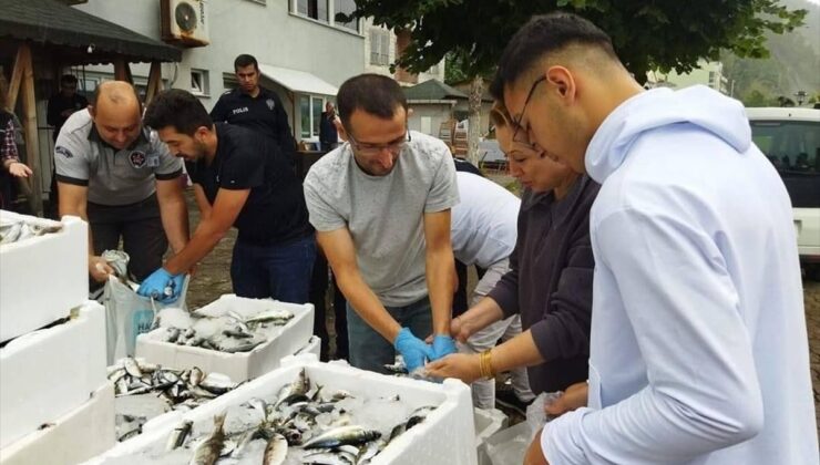 Sinop'ta kaçak yolla avlandığı belirlenen balıklar vatandaşlara ücretsiz dağıtıldı