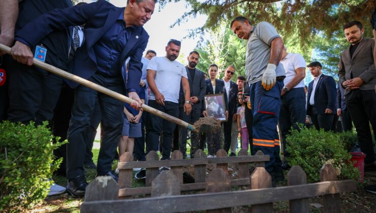 Tedavi gördüğü klinikte ölen kedi Şero, CHP Genel Merkezi’nin bahçesine gömüldü