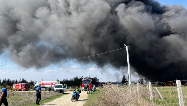 Tekirdağ’da fabrikada çıkan yangına müdahale ediliyor