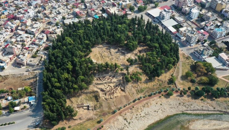 Yumuktepe Höyüğü’nde 9 bin yıllık geçmişe sahip iki buğday türü tespit edildi