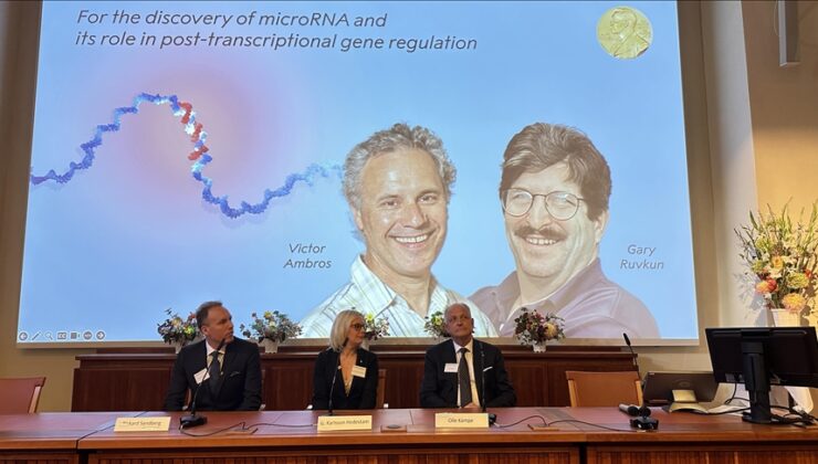 2024 Nobel Tıp Ödülü “microRNA keşfinden” dolayı ABD’li Victor Ambros ve Gary Ruvkun’a verildi