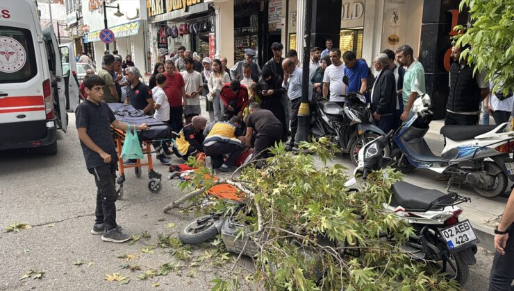 Adıyaman'da rüzgarın kırdığı dalın altında kalan motosikletteki sürücü yaralandı