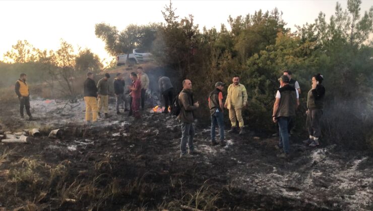 Aydın'da ormanlık ve zeytinlik alanda çıkan yangın kontrol altına alındı