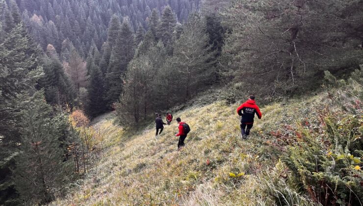 Bolu’da yaylada kaybolan yaşlı çift aranıyor