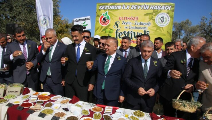 Hatay’da 8. Zeytin, Zeytinyağı ve Gastronomi Festivali düzenlendi