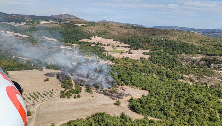 Manisa Kırkağaç'ta tarlada başlayan yangın ormana sıçradı