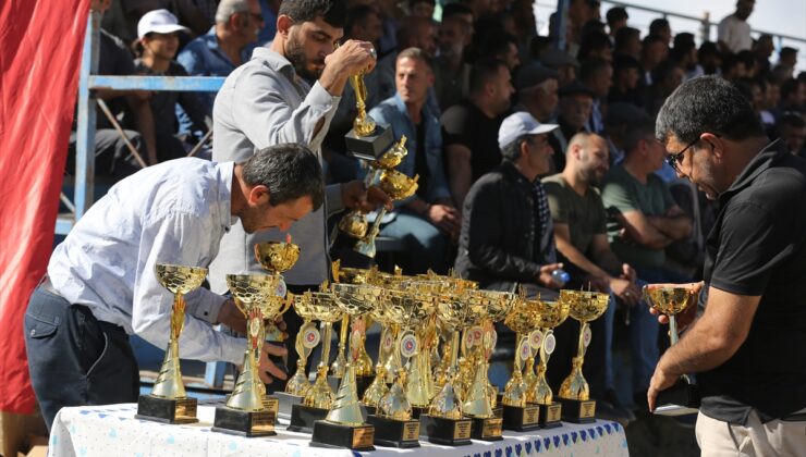 Mardin’de geleneksel “Rahvan At Yarışları Şampiyonası” yapıldı